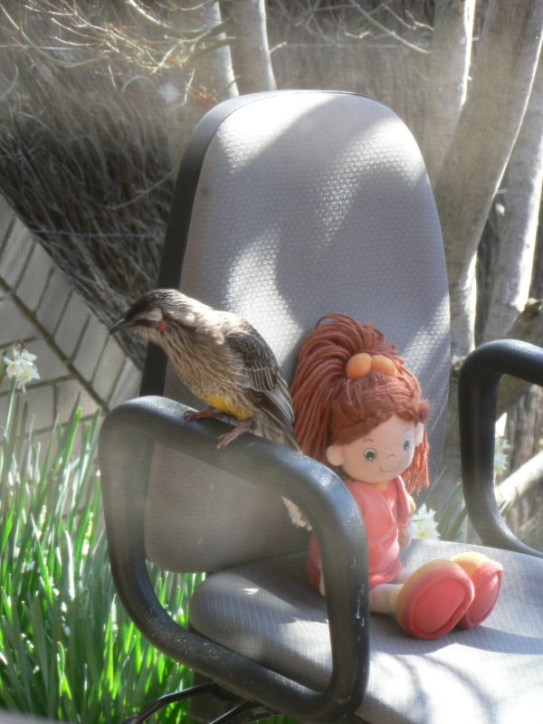 poup�e